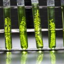 핏-타운 이미지