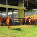 박상수농장 이미지