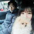 애견 11번가 이미지