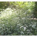 김광수농장 이미지