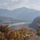 하덕천 Daum카페