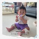 아기 상하복 모이몰른 25년 여름 신상 플로리아원피스 루시엘나시티셔츠