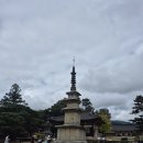 남원 실상사 철조여래좌상 | 남원의 유서깊은 사찰 실상사 : 산이 아닌 평지에 있네요~