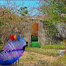 이규연 소망목 이미지