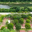 정선군생태체험학습장캠핑장 | 정선생태체험학습장 캠핑장 체험·감동·성장 해석