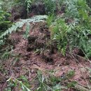 서울추모공원 화장실 | 묘지이장안식처#279 전북 부안 윤달 개장 작업, 서울추모공원과 갑산공원까지 전국 투어 후기