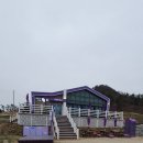 신안아구찜 이미지