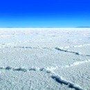 빛과소금 이미지