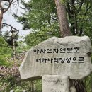 풍경 | 아이랑 아차산 등산 도전! 초보자도 즐기는 정상풍경 후기