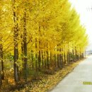 전원목장 이미지