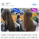 살롱드쥬쥬Nail | 강남 복구펌·신사역 미용실 쥬라엘드살롱 | 복구 전문 브랜드 컨설팅 후기