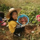 배바우농장 이미지