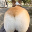 단미스토리