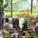 통통(Tong Tong) | 치앙마이 맛집 list 10 : 추천 or 비추천/솔직후기/미슐랭맛집:팟타이/카오소이/쿤캐쥬스바/똠양꿍/블루...