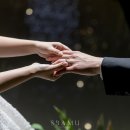 테라리움서울