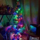 트렌타쥬스병영점 | 병영 카페 추천ㅣ홈파티 음료로 울산 트렌타쥬스 생딸기우유 테이크아웃 어때?