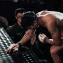 영남대 대학로 이미지