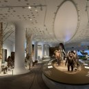 전곡선사박물관 이미지