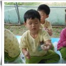 행정초교 병설유치원 이미지