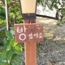 바다숲 민박 이미지