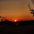 비비정 상생 도시숲 이미지