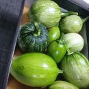 지영골프연습장 이미지