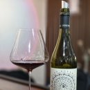빈야드10(vineyard10) | 비교 시음기 (Moonlight Race, Sauvage Vineyard, Burn Cottage Vineyard) 뉴질랜드 피노누아 와이너리