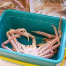 헬로크랩 구파발점