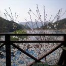 호수펜션 이미지