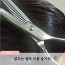 잘 드는 미용가위 숱가위 내돈내산 후기