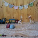 봄날스튜디오 이미지