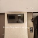 에프엠1차 | 부천 마리아 시험관 1차 고날에프, 아이브이에프엠 HP, 바이오아지니나액 처방 후기