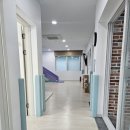 내림 펜션 | 가평펜션 장난감 많은 가평 콩콩내림스테이키즈풀빌라 다녀온후기