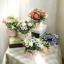 조아트 플라워 이미지