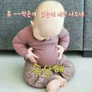 뚱배