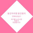 봉강별곡 이미지