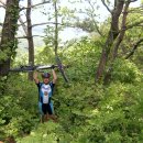 가나안목장 이미지