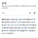 전주동물원드림랜드 네이버블로그