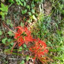 내장산국립공원화장실(제1주차장) 이미지