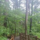 [생태탐방] 만수근린공원 | 산림청, 전국 숲길 10곳 추천