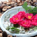 마동동사무소 이미지