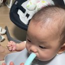 [이유식 정보] 만들기 귀찮을 때 먹여보는 시판 이유식, 베베쿡 초기 미음 후기