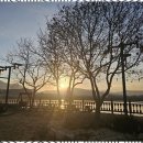 자연속힐링펜션 | 골프장펜션 자연 속 힐링 타임, 충주 강아름펜션 후기