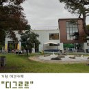 가평 애견카페 서울 근교 넓은 애견카페 디그르르
