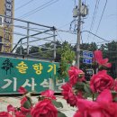 솔향기기사식당