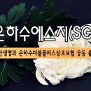 은하수에스지