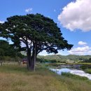 휴천면사무소 이미지