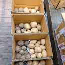 자영농장 이미지