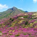 산청IC(대전)