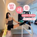 예쁜 몸 바른 몸 라인 핏 레이디 발레 | 신봉동헬스장PT) 수지구 유일무이 발레핏 성지! 푸름쌤